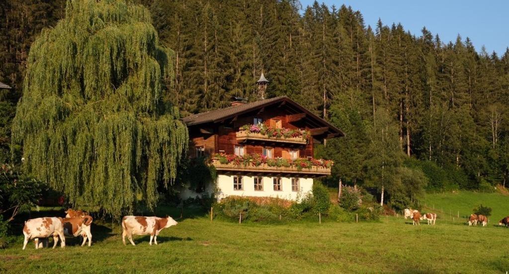 Вілла Ellmauhof Пфаррверфен Екстер'єр фото